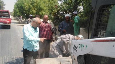 رفع 50 طن من القمامة والمخلفات الصلبة بأبو قرقاص