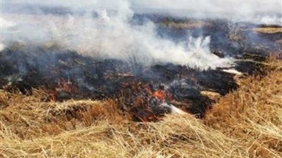 خلال موسم حصاد وحرق قش الأرز.. الصحة: خطة للوقاية من مخاطر السحابة السوداء