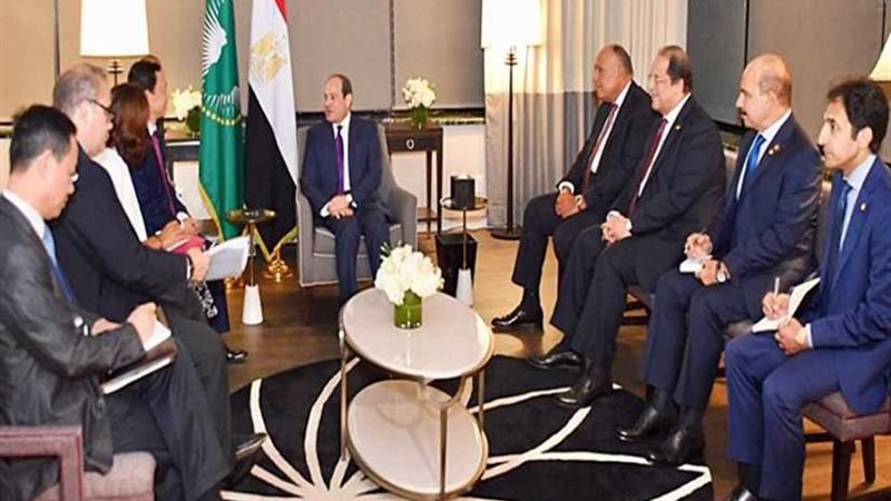 الرئيس السيسي يلتقي