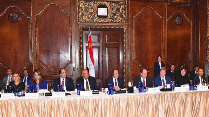 الرئيس السيسي يلتقي