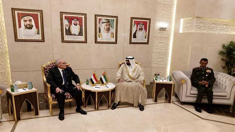 مصر والإمارات يبحثان