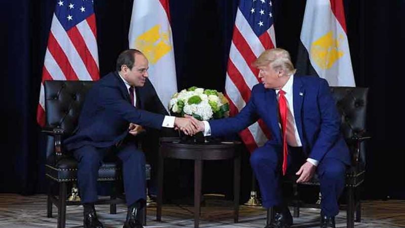 موجز الرابعة.. نشاط