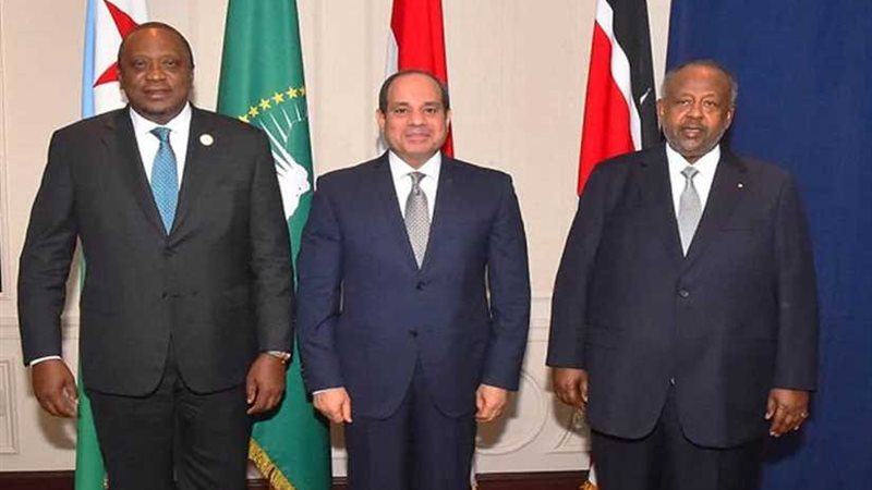قمة بين مصر وجيبوتي