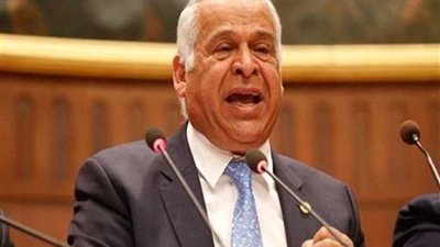 فرج عامر: خطاب السيسي أمام الأمم المتحدة ينهي مشكلات المنطقة وإفريقيا