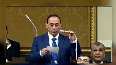 زين الدين: خطاب الرئيس السيسي أمام الأمم المتحدة قدم مصر كقوة عظمى ودولة صانعة للتنمية والسلام