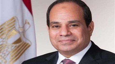 الرئيس السيسي يؤكد أهمية العلاقات الاستراتيجية والمستقرة بين مصر والولايات المتحدة