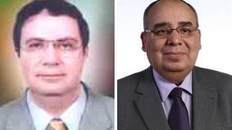 تعيين شحاتة رئيساً