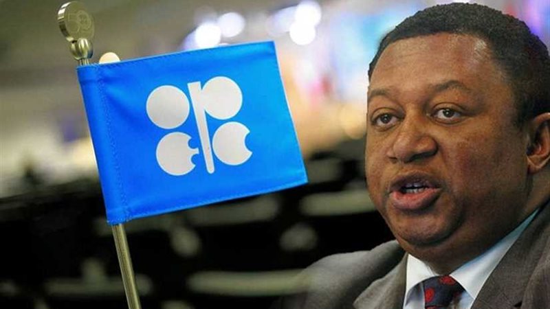 أمين عام أوبك: استئناف