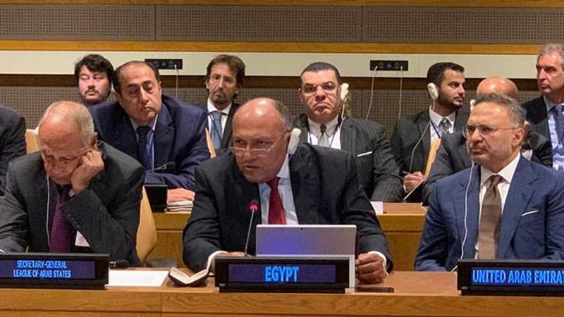 وزير الخارجية يُشارك