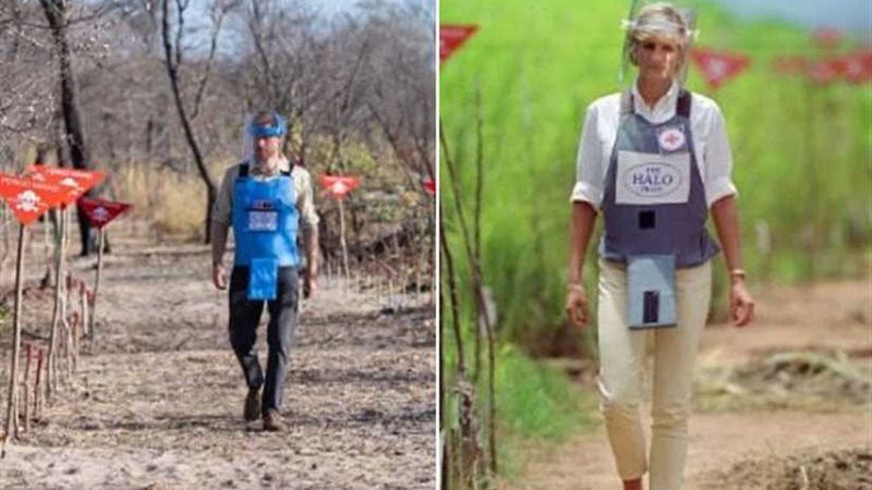 هاري يستعيد ذكريات