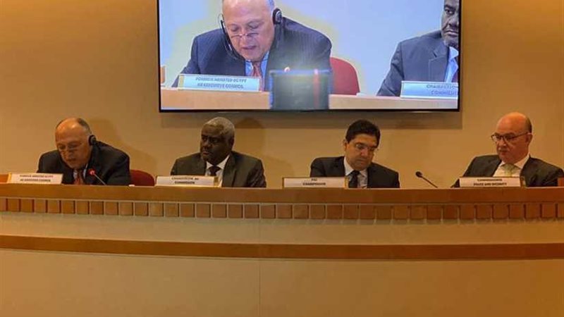 شكري يُشارك في اجتماع