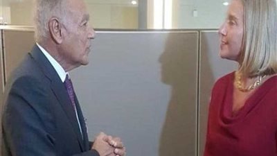 أبو الغيط يلتقي الممثلة العليا للسياسة الأوروبية