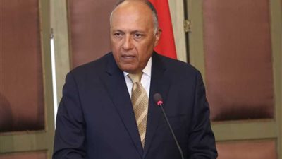 شكري يشدد على حتمية عدم التهاون في محاسبة الدول الإقليمية الراعية للإرهاب في سوريا