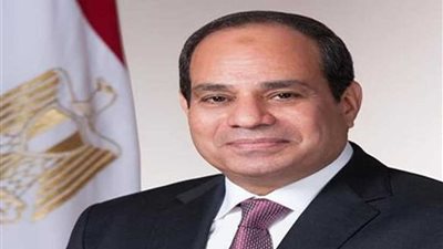 عاجل.. الرئيس لمن تأثروا سلبًا بتنقية البطاقات التموينية: أطمئنوا أتابع بنفسي إجراءات استعادة المستحقين