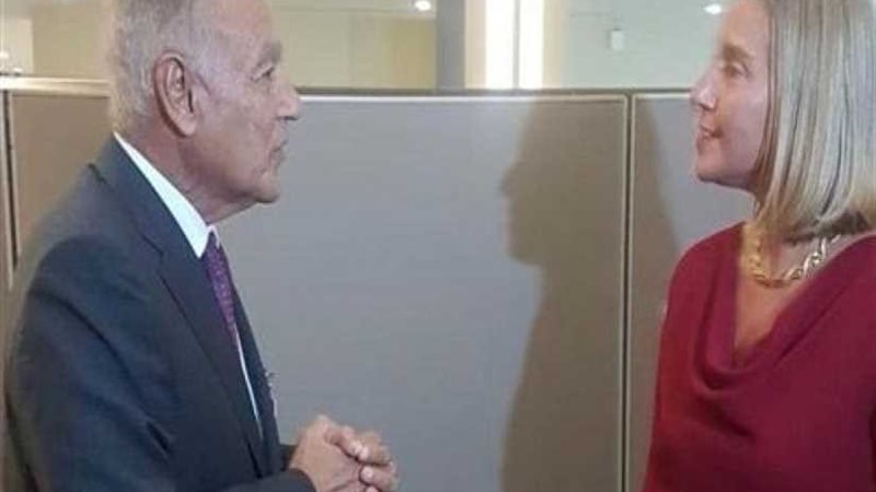 أبو الغيط يلتقي الممثلة