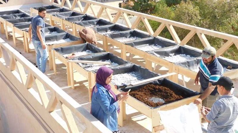 «البيئة» تبدأ تنفيذ