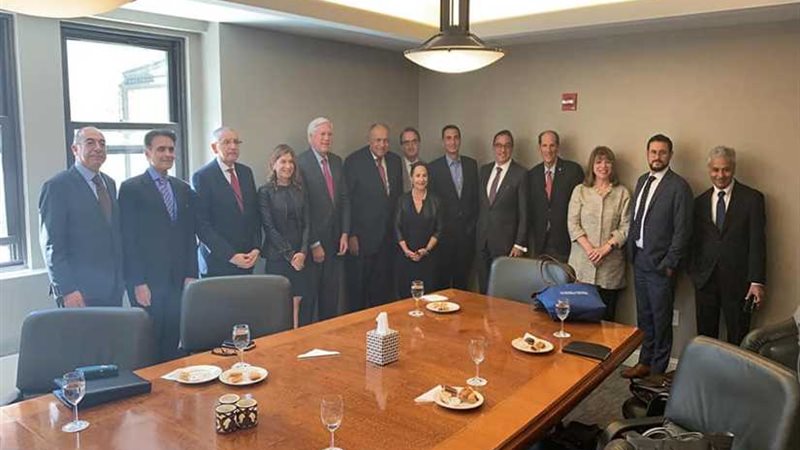 شكري يلتقي وفد اللجنة