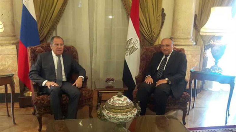 وزير الخارجية يبحث