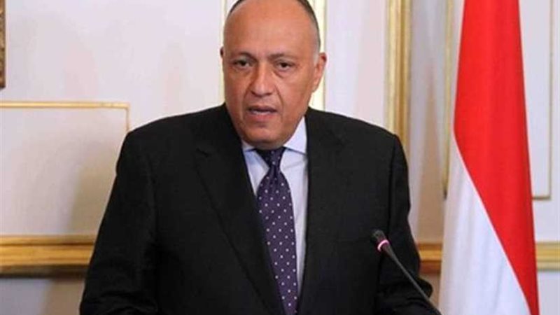 وزير الخارجية يؤكد