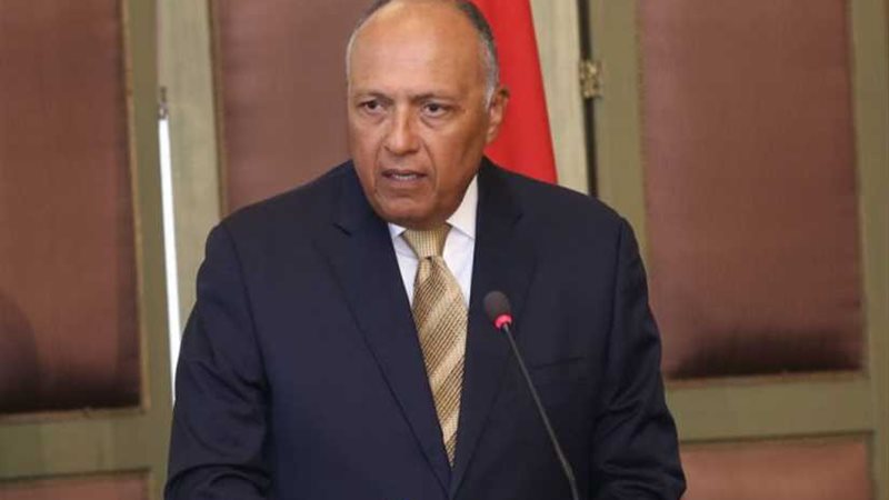 شكري يشدد على حتمية