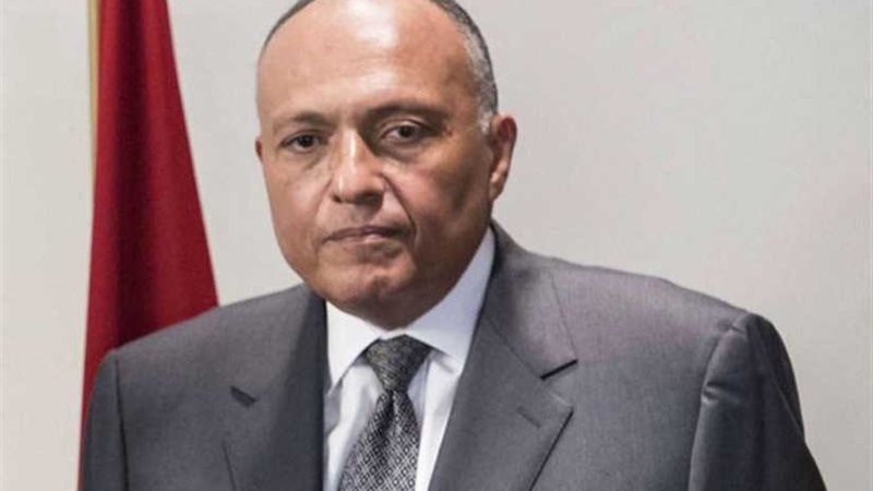 شكري يؤكد لنظيره