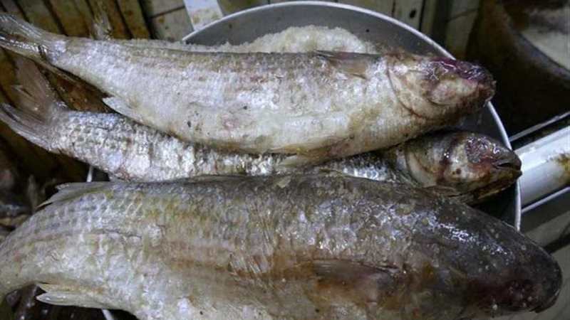 11 حالة تسمم بسبب