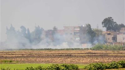 محافظ الدقهلية: محاضر فورية لحرق قش الأرز