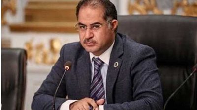 وكيل البرلمان: دعوات التخربب تسعى لإسقاط الدولة والمؤامرة لم تنتهِ