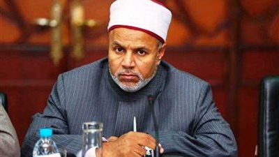 نائب رئيس جامعة الأزهر: الرئيس السيسي يولي اهتماما كبيرا بنهضة التعليم