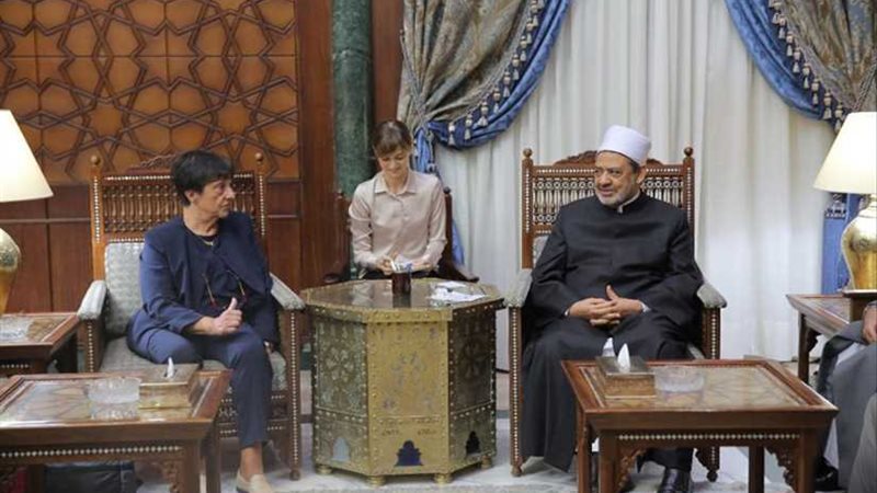 الإمام الأكبر يستقبل