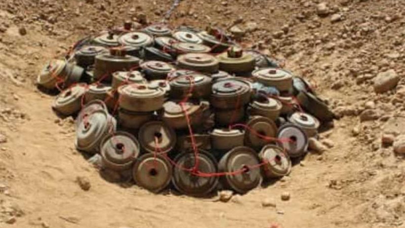 البرنامج اليمني للتعامل