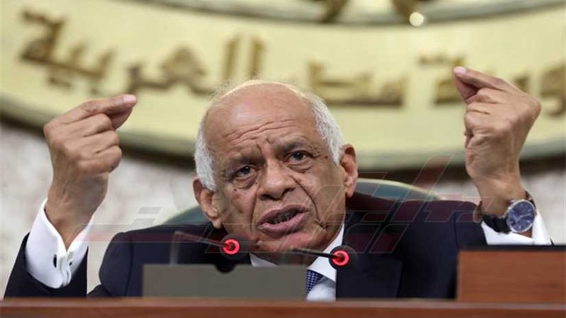 رئيس النواب: مصر
