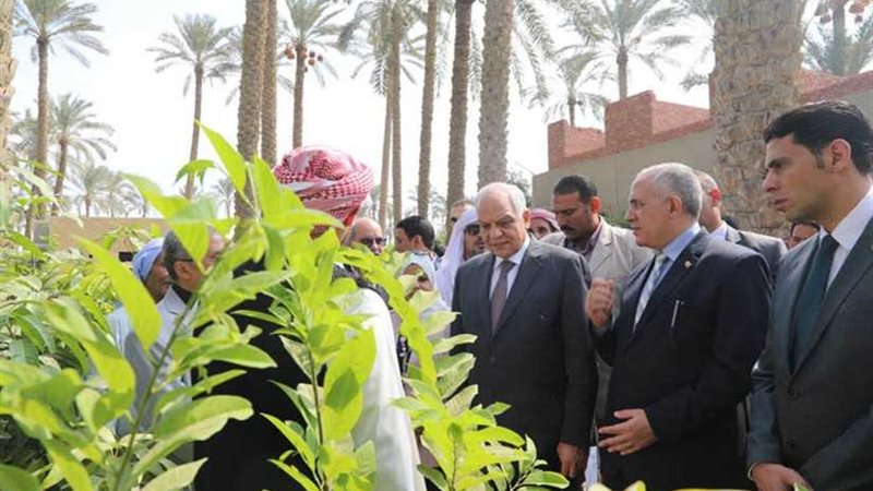 وزير الري ومحافظ