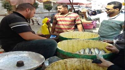 إغلاق 28 منشأة غذائية وإعدام أكثر من طن أسماك بالشرقية