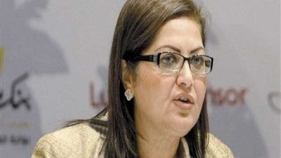 التخطيط : 10.2 مليار دولار استثمارات مصر بالقارة الإفريقية