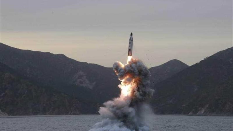 كوريا الشمالية تؤكد