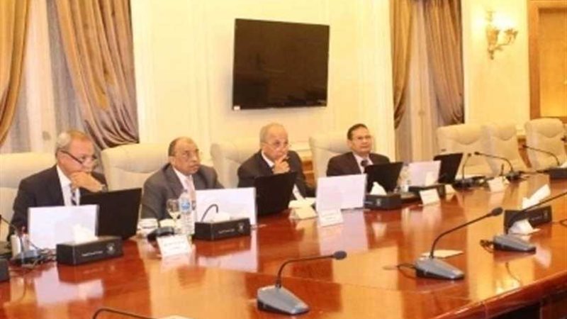 التنمية المحلية: