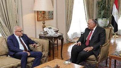 وزير الخارجية يجري مباحثات مع نظيره في 