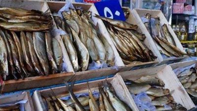 محافظ كفرالشيخ: ضبط 12 طن فسيخ فاسد