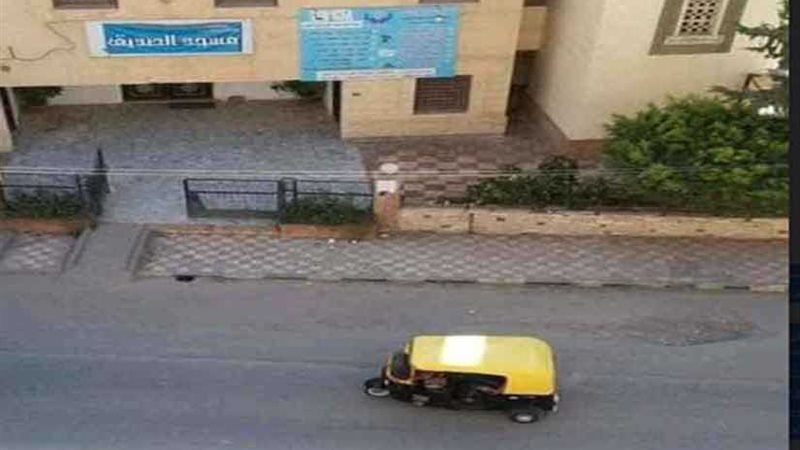 الفوضى تحكم النخيل