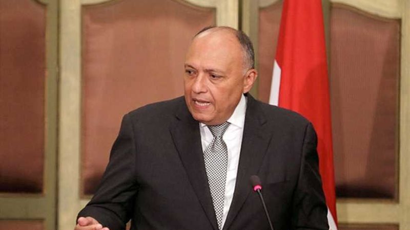 وزير الخارجية يشيد