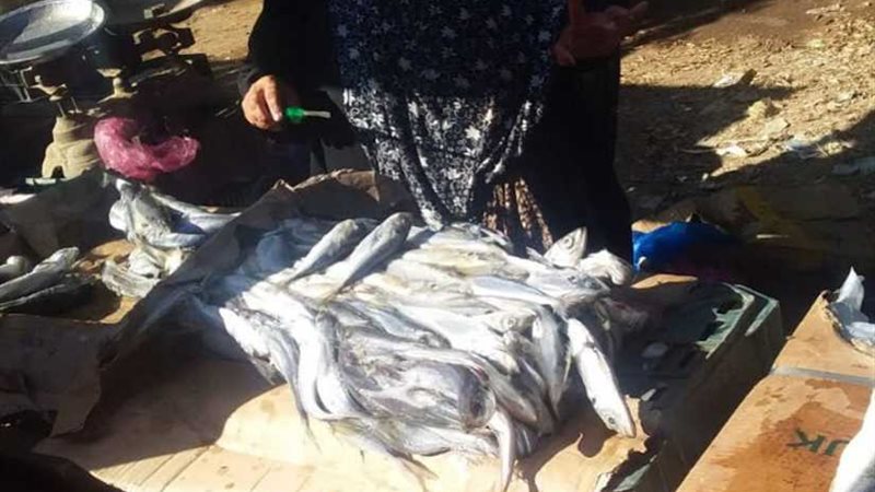 بالصور.. إعدام أكثر