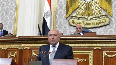 وزير الخارجية أمام النواب: الأمن المائي جزء لا يتجزأ من الأمن القومي المصري