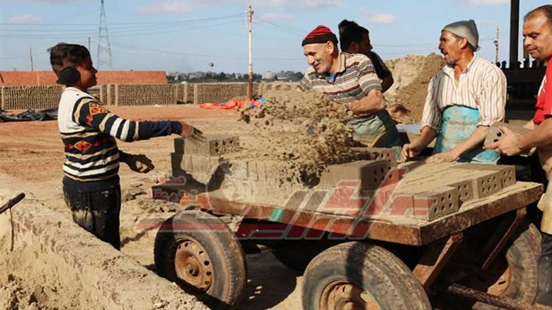 بالصور والفيديو..