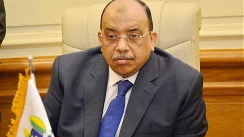 التنمية المحلية تكلف