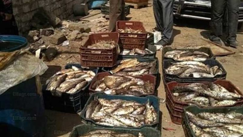 ضبط 12 طن أسماك مملحة