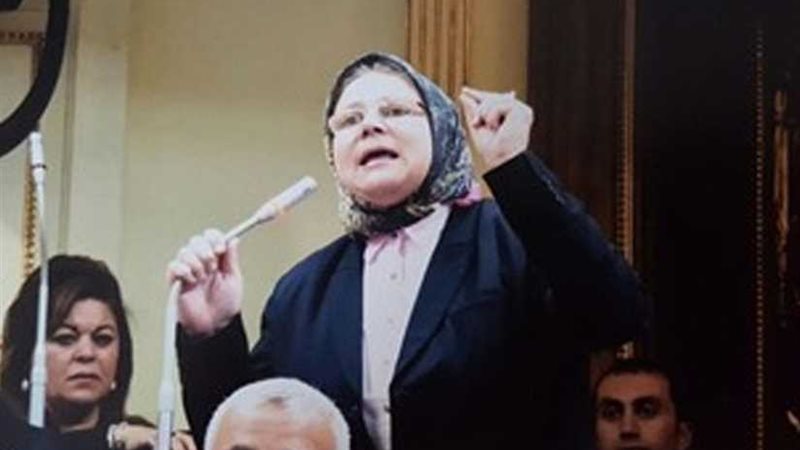 شيرين فراج طلب إحاطة