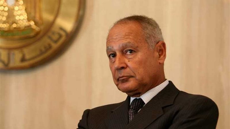 أبو الغيط أمام كلية