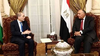 وزير الخارجية ونظيره الأردني يبحثان تطورات العدوان التركي على سوريا