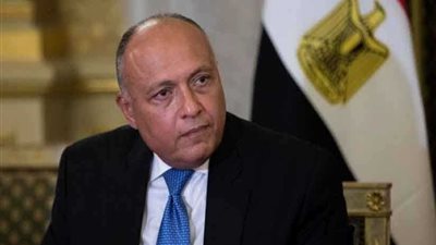 شكري : مصر تولي أهمية كبيرة لوحدة سوريا وشعبها وسلامتها الإقليمية